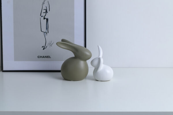Couple Pair Rabbit