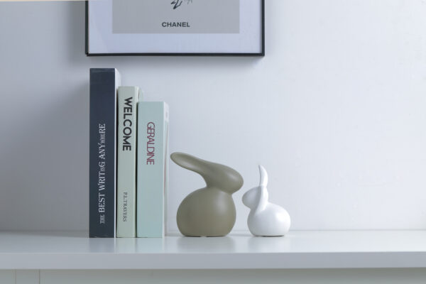 Couple Pair Rabbit - Image 4